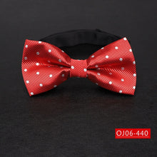 Load image into Gallery viewer, Bowtie for men