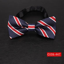 Load image into Gallery viewer, Bowtie for men