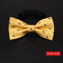 Load image into Gallery viewer, Bowtie for men