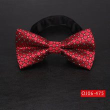 Load image into Gallery viewer, Bowtie for men