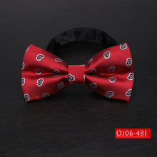 Load image into Gallery viewer, Bowtie for men