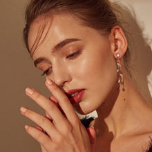 Load image into Gallery viewer, Silver colour crystal earrings