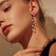 Load image into Gallery viewer, Silver colour crystal earrings