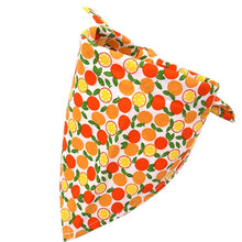 Load image into Gallery viewer, Fur-ends -  Bandana with fruit print scarf (Adjustable Size) for the big day!