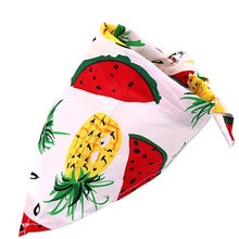 Load image into Gallery viewer, Fur-ends -  Bandana with fruit print scarf (Adjustable Size) for the big day!