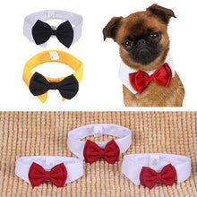 Load image into Gallery viewer, Fur-ends - Cotton white tie and bow for the important day!