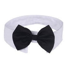 Load image into Gallery viewer, Fur-ends - Cotton white tie and bow for the important day!