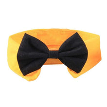 Load image into Gallery viewer, Fur-ends - Cotton white tie and bow for the important day!