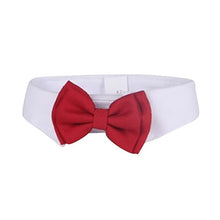 Load image into Gallery viewer, Fur-ends - Cotton white tie and bow for the important day!