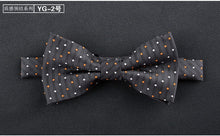 Load image into Gallery viewer, Bowtie for men