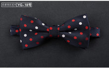 Load image into Gallery viewer, Bowtie for men