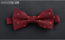 Load image into Gallery viewer, Bowtie for men