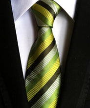 Load image into Gallery viewer, Classic neckties for men