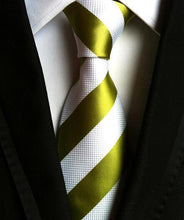 Load image into Gallery viewer, Classic neckties for men