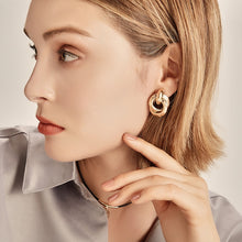 Load image into Gallery viewer, Gold/Silver alloy drop earrings
