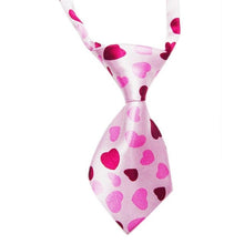 Load image into Gallery viewer, Fur-ends - Adjustable tie for the big day!